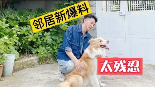 二狗子邻居爆料视频大全 第3张 二狗子邻居爆料视频大全 第3张